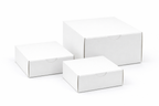 Food Boxes (White)