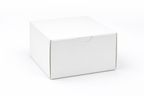 Food Boxes (White)